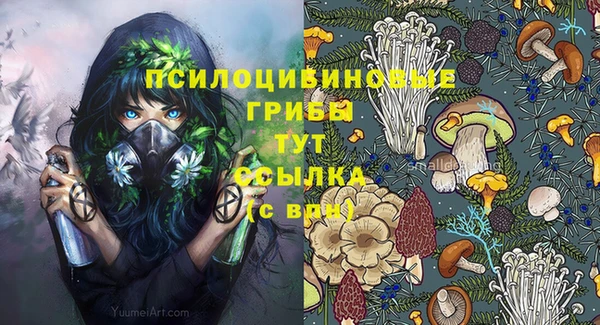 хмурый Каменск-Шахтинский