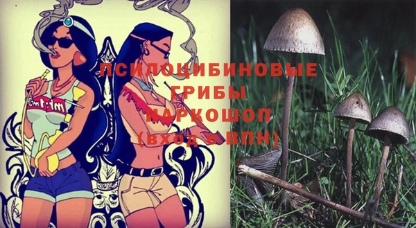 хмурый Каменск-Шахтинский