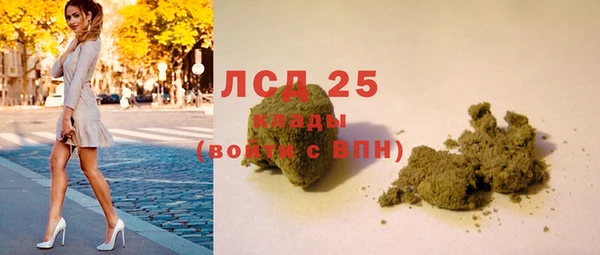 эйфоретик Каменногорск