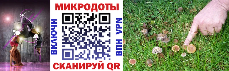 Купить  Нефтекумск  Псилоцибиновые грибы мицелий 